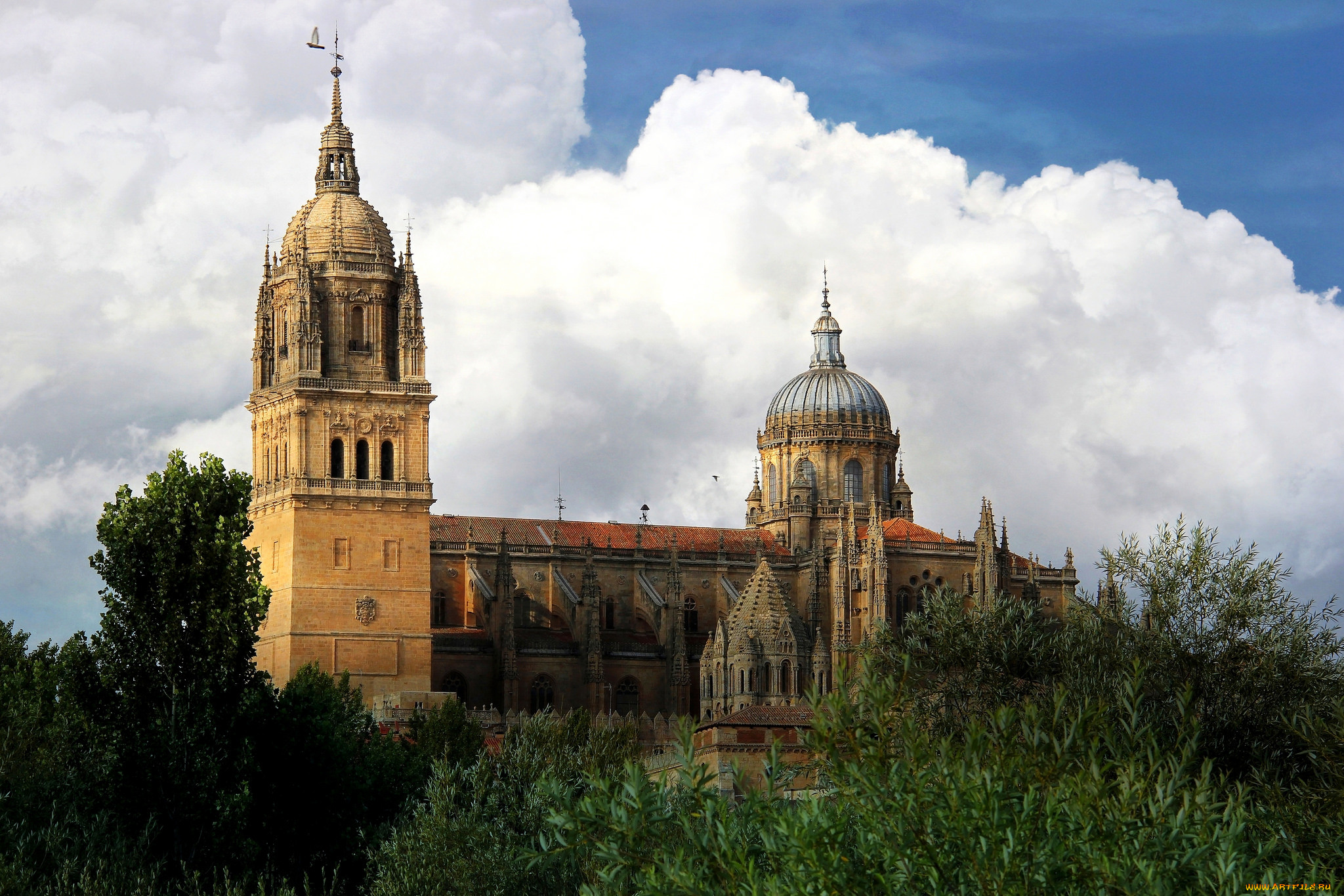 salamanca, , -  ,  ,  , 